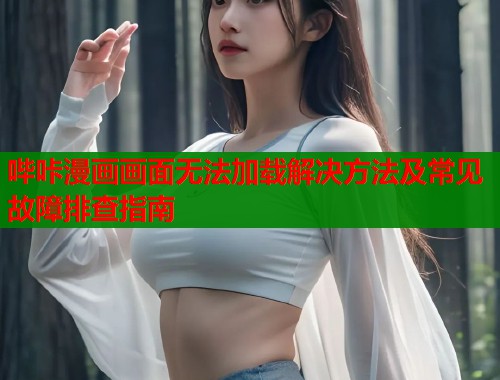 哔咔漫画画面无法加载解决方法及常见故障排查指南