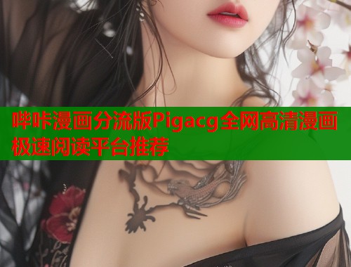 哔咔漫画分流版Pigacg全网高清漫画极速阅读平台推荐