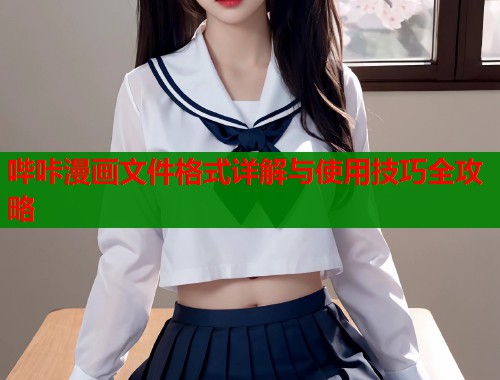 哔咔漫画文件格式详解与使用技巧全攻略